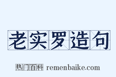 老实罗造句是什么意思的图片